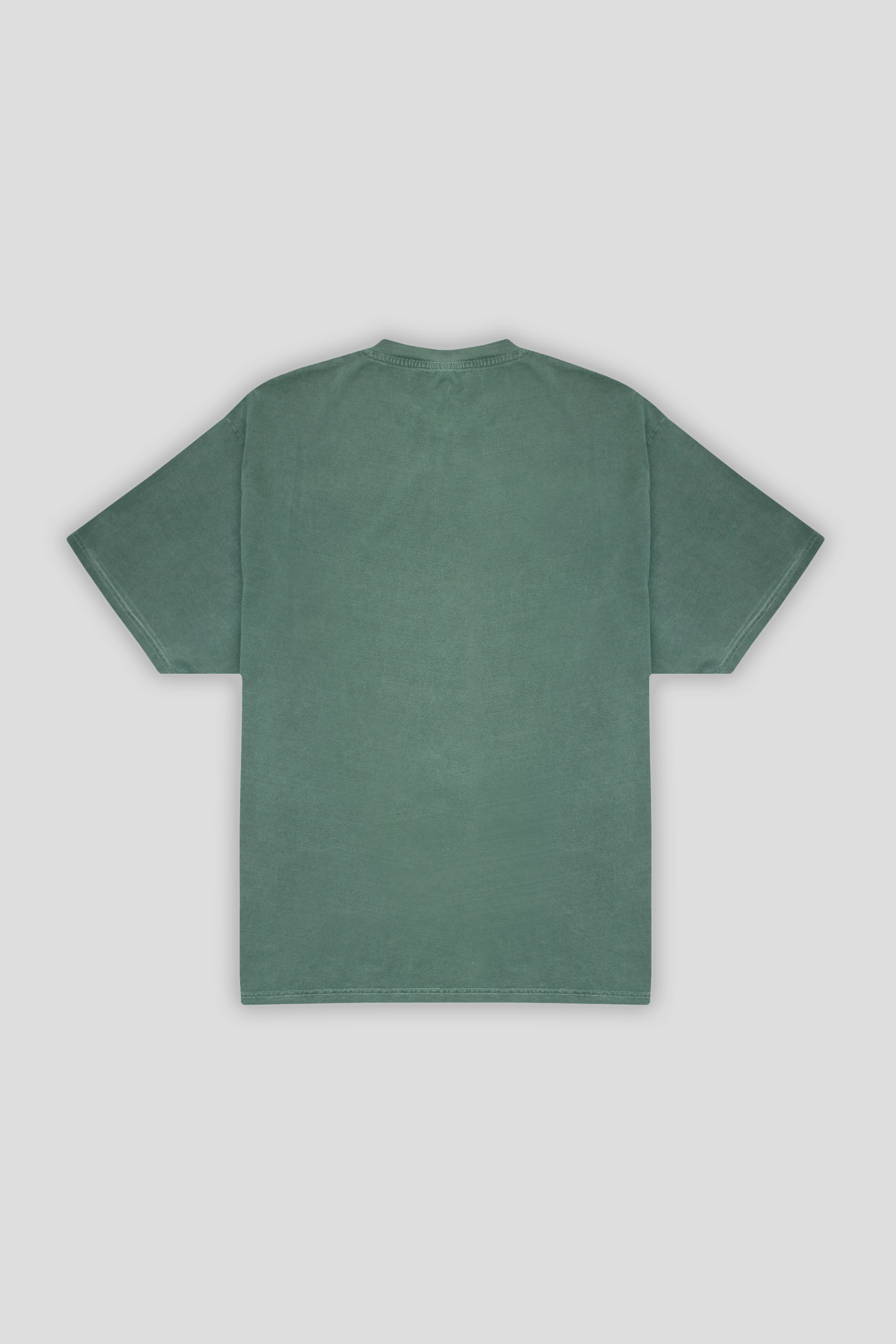 Washed T-shirt Forest 1306 - SIMPLUSH