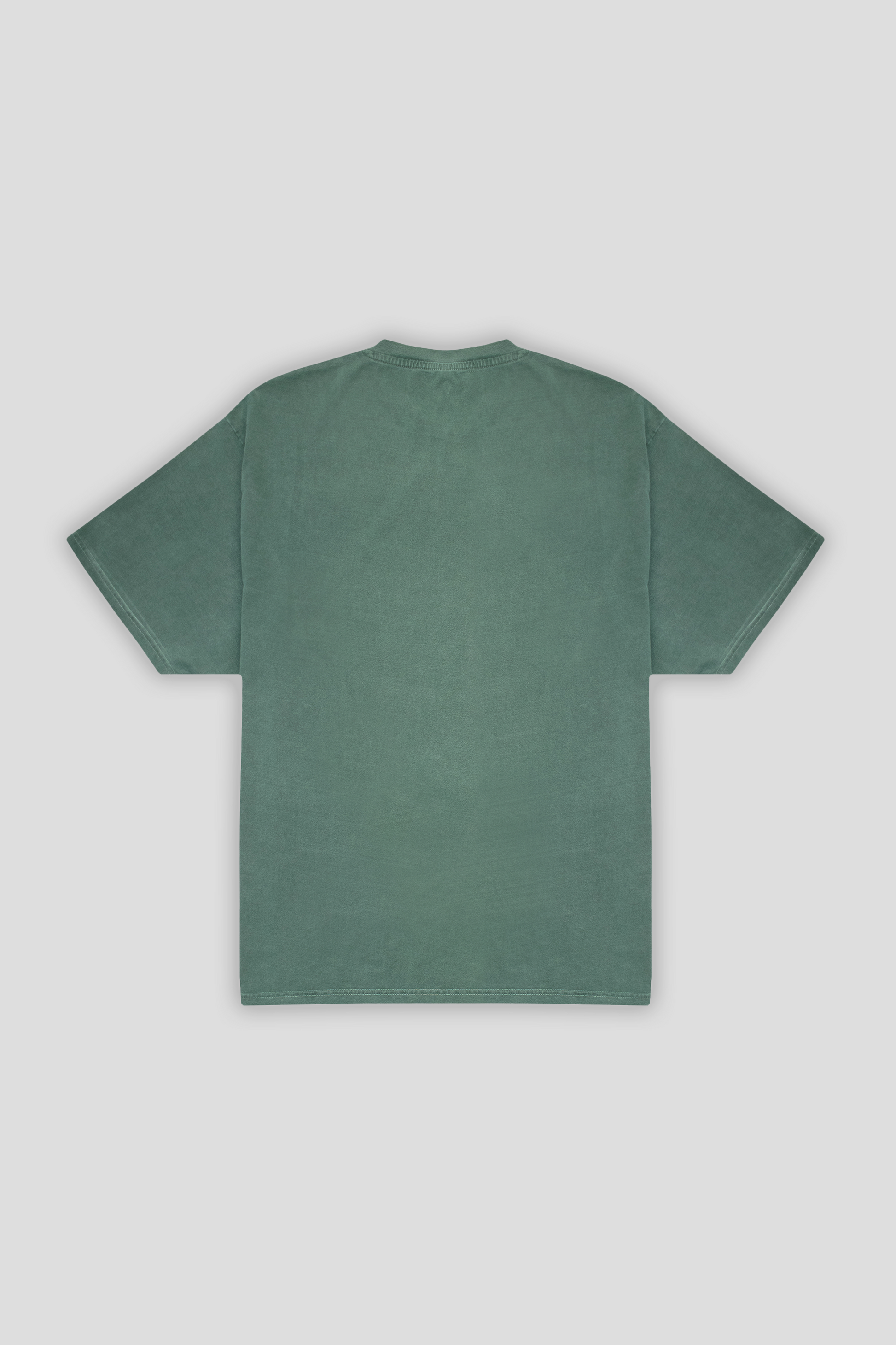 Washed T-shirt Forest 1306 - SIMPLUSH